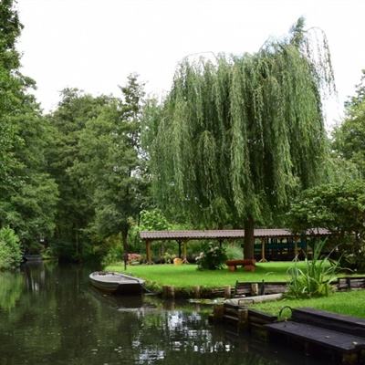 im电竞官方官网app下载