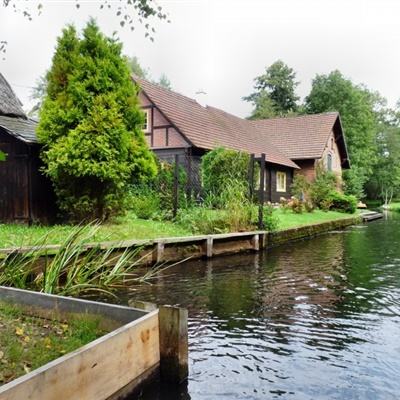 金年会体育app下载官网