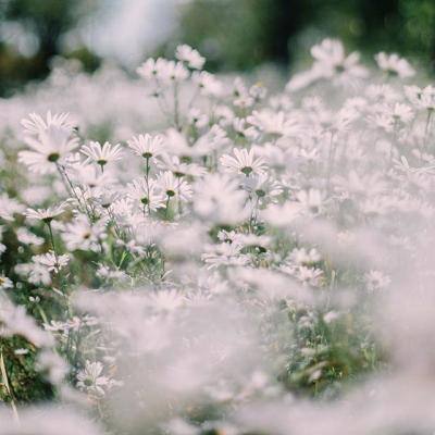 火狐体育APP下载