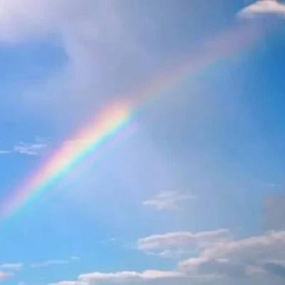 管家婆一码一肖资料大全