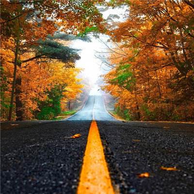 足球北单官方网站