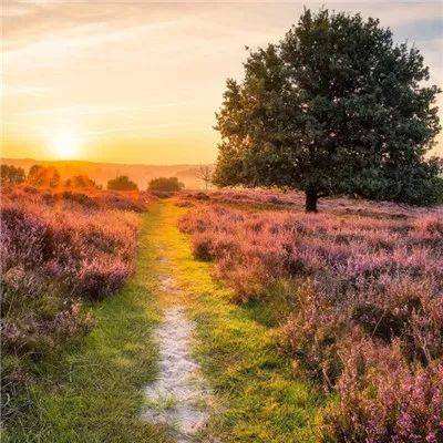 天博体育官网入口下载手机版