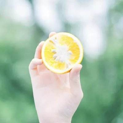 澳门威尼斯人软件