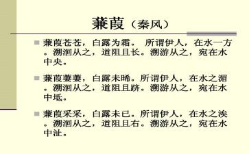 《蒹葭》的教案8篇
