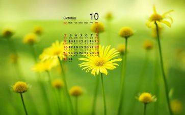 2024年10月主题活动方案7篇