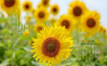 10月份总结报告6篇