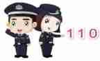 校园110总结报告模板5篇