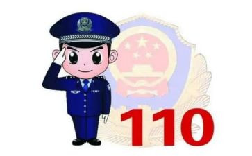 110工作个人总结通用6篇