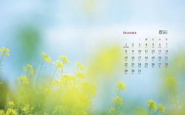 2023年12月英语六级作文5篇