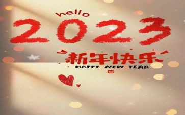 2023党员教师工作总结6篇