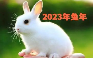 工地2023工作总结范文7篇