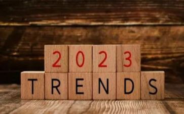 2023工会活动方案优质6篇