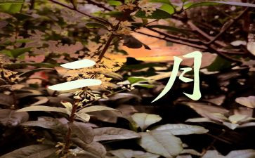 工作2月工作总结7篇
