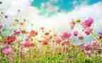 3月5日升国旗讲话稿6篇