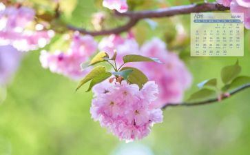 4月份幼儿园教师总结7篇