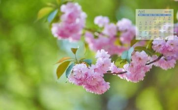 4月4日的作文7篇