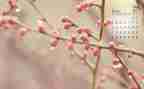 4月安全生产工作计划7篇