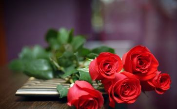 超市520活动方案精选5篇