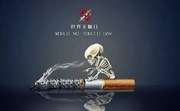 531心得参考6篇