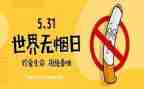 531心得优秀5篇