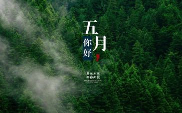 2024年5月工作总结优秀5篇