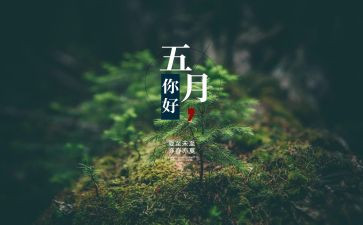 2024年5月工作总结最新5篇