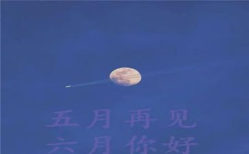 2024年5月工作总结精选5篇