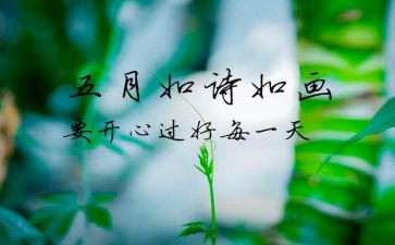 2024年5月工作总结优质5篇