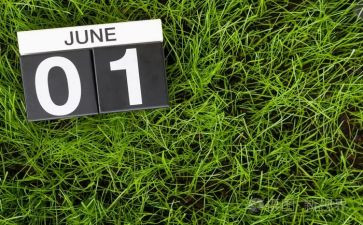6月卫生工作计划5篇