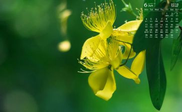 6月安全生产月总结范文5篇