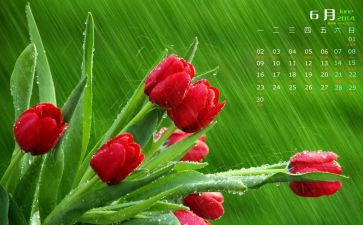 6月销售总结报告8篇