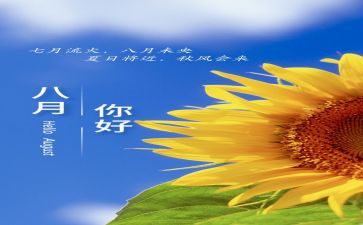 销售8月工作计划6篇