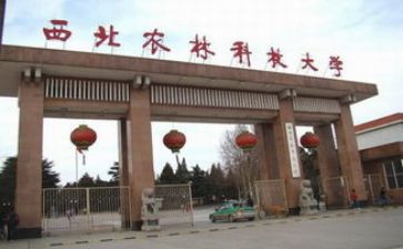 985大学生作文参考6篇