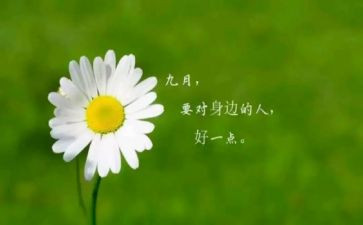2024年9月质量月活动总结6篇