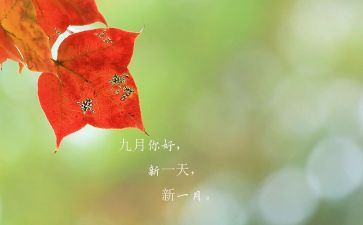 9月幼儿园小班工作总结7篇