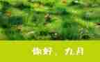 幼儿园小班9月份教师总结6篇