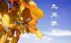 9月份工作总结精选7篇