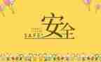 安全全年工作计划5篇