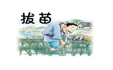 拔苗助长拨读后感精选7篇