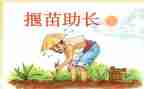 拔苗助长拨读后感通用5篇