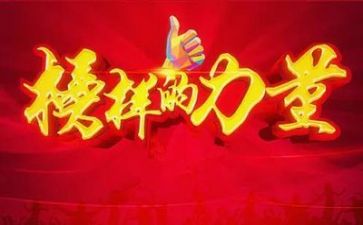 观榜样5心得体会精选5篇
