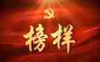 观看榜样的力量心得体会8篇