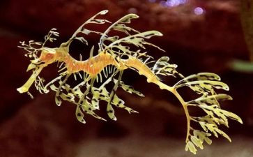 高中生物工作总结参考6篇