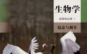 生物教师个人学期总结8篇