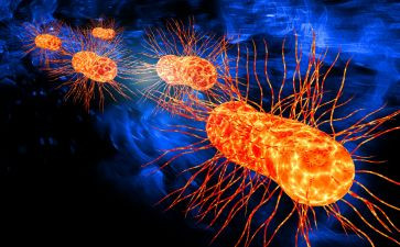 冀教初中生物实验工作计划7篇