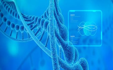 高中生物教师年终总结8篇