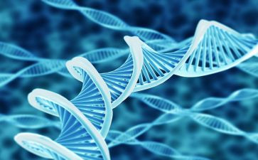高中生物工作总结优质7篇