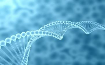 初二上生物教师工作总结7篇