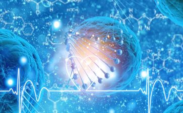 高中生物备课组工作计划5篇