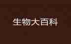 生物教案模板5篇